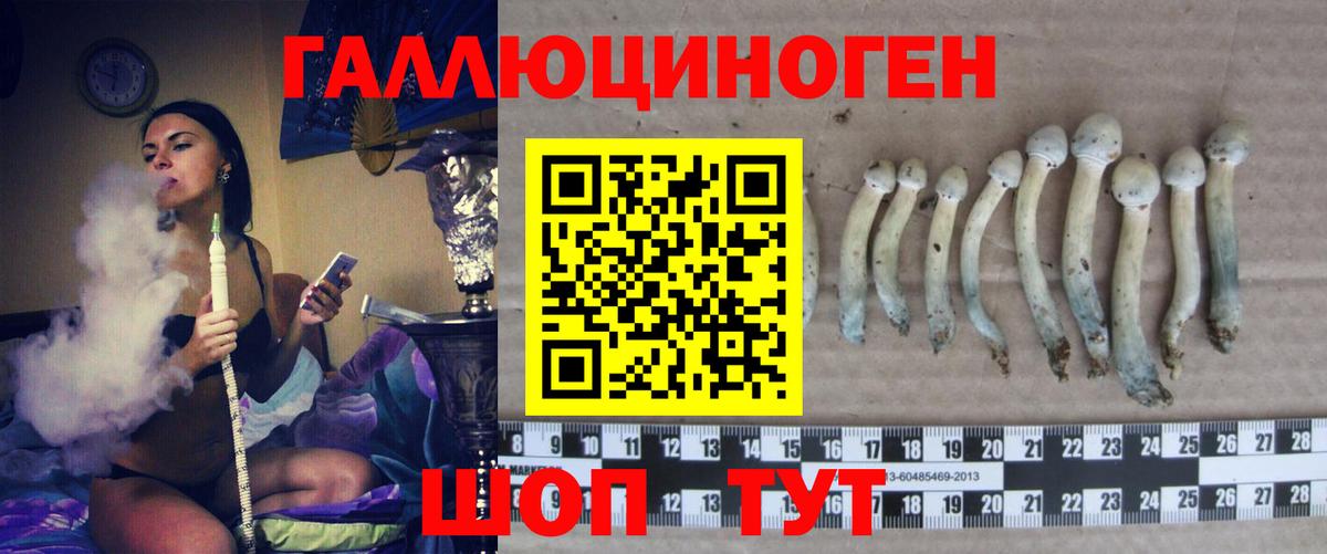 Ирбит  где продают   Вход с VPN  Галлюциногенные грибы Magic Shrooms 