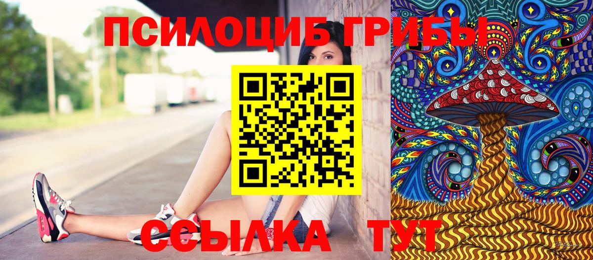 Псилоцибиновые грибы Cubensis Ирбит